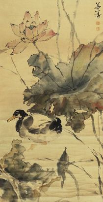 杨善琛荷花