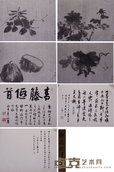 谢稚柳 花卉 册页 35×47cm×5