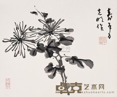 董寿平 菊花 镜心 37.5×45cm