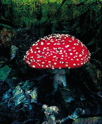文川 2009年作 蘑菇
