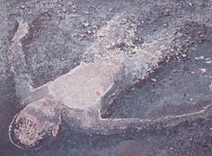 饶松青 2007年作 漂浮