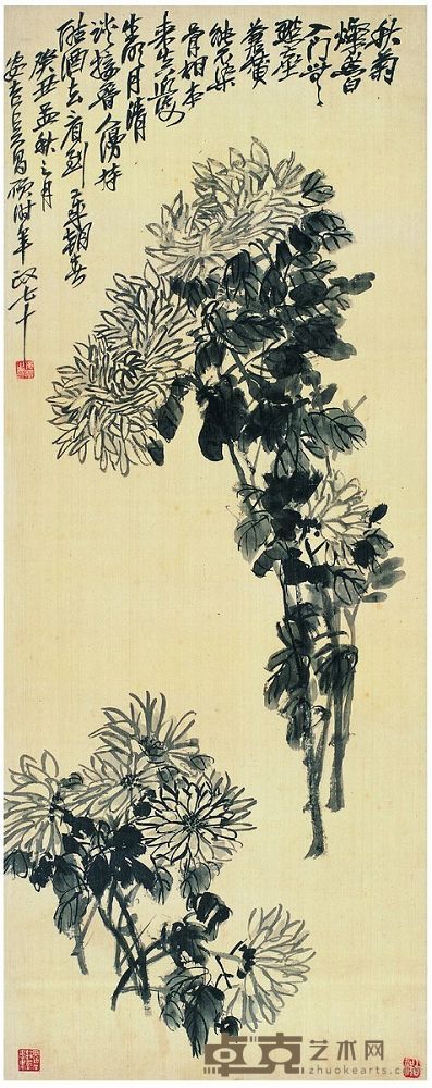 吴昌硕 1913年作 墨菊图 立轴 102.5×40.5cm