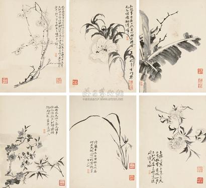 陈撰 花卉册 册页