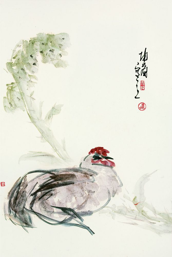 卢坤峰 鸡