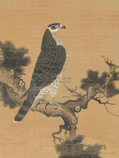 无款 松鹰图 镜心 67×50.5cm