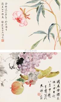 吴青霞 周炼霞 甲午（1954）年作 蔬果图 芍药图 （两幅） 镜片