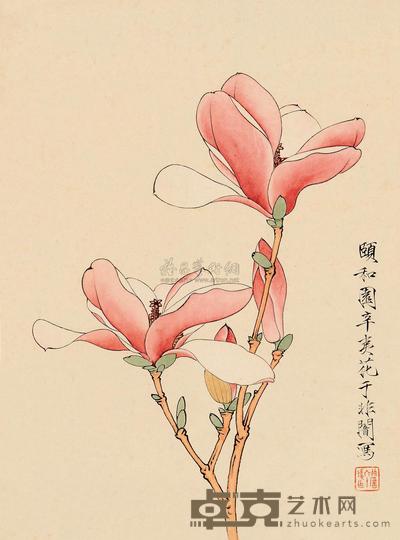 于非闇 辛夷花开 立轴 33×24cm