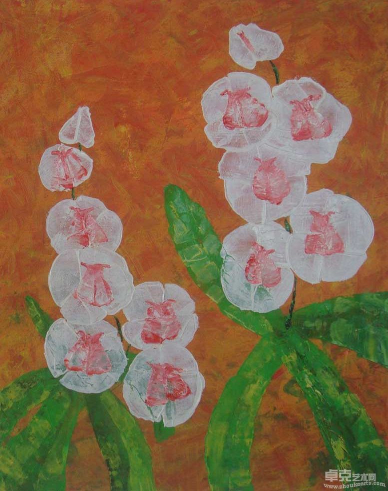 蝴蝶蘭250×40cm