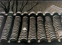 赵家培 屋顶（铜奖）