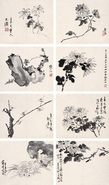 王个簃 朱文侯等 菊花 册页（八开）
