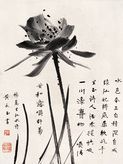 黄永玉 墨荷 镜心