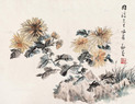 丛菊 镜心