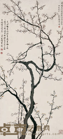 越秀山古梅 立轴 97×45cm