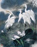 康宁 荷花鹭鸶 镜心
