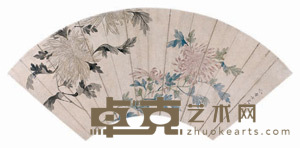 秋菊 扇面 18×46cm