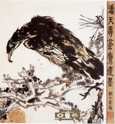 潘天寿 苍鹰图 设色纸本 立轴 74×62cm
