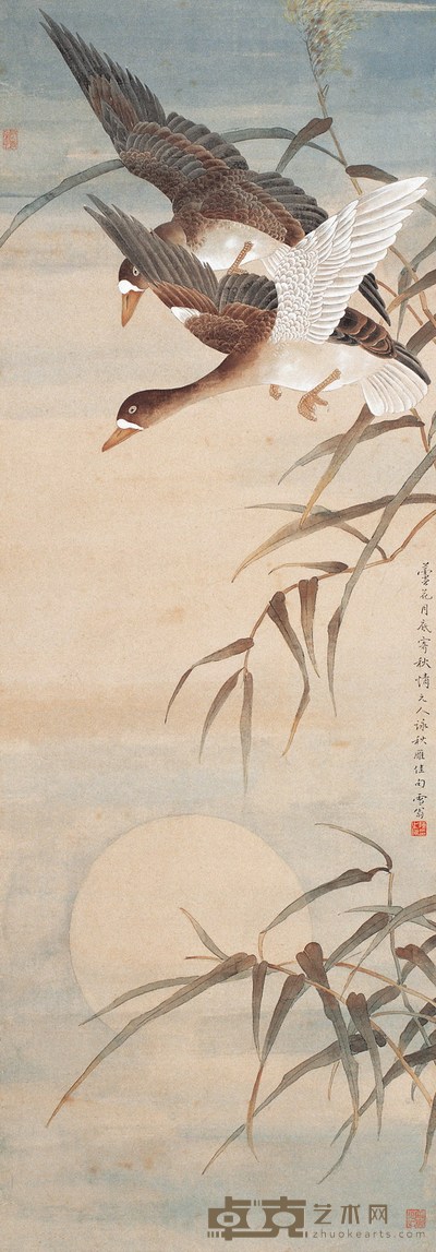 陈之佛 芦雁图 设色纸本 立轴 134×47cm
