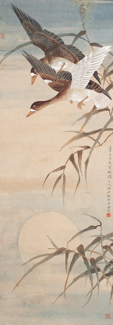 陈之佛 芦雁图 设色纸本 立轴